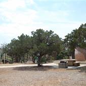 Eisenhower Park