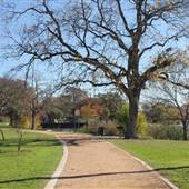 Elmendorf Lake & Park