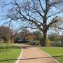 Elmendorf Lake & Park