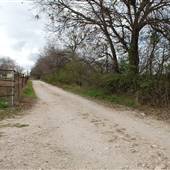 Espada Rd Neighborhood