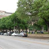 Travis Park