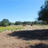 Flying L Guest Ranch