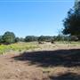 Flying L Guest Ranch