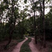 Lost Woods Campground