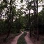 Lost Woods Campground
