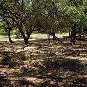 777 Ranch