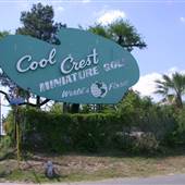 Cool Crest Miniature Golf