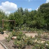 Botanical Garden