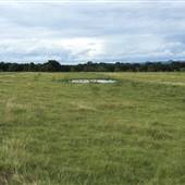 The Onion Creek Ranch