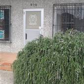 Mercury Project Artspace