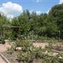 Botanical Garden