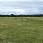 The Onion Creek Ranch