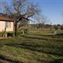 Carney Ranch