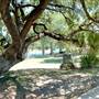 San Pedro Springs Park