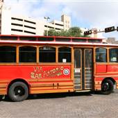 VIA Buses