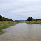 Privilege Creek at Old School Rd.